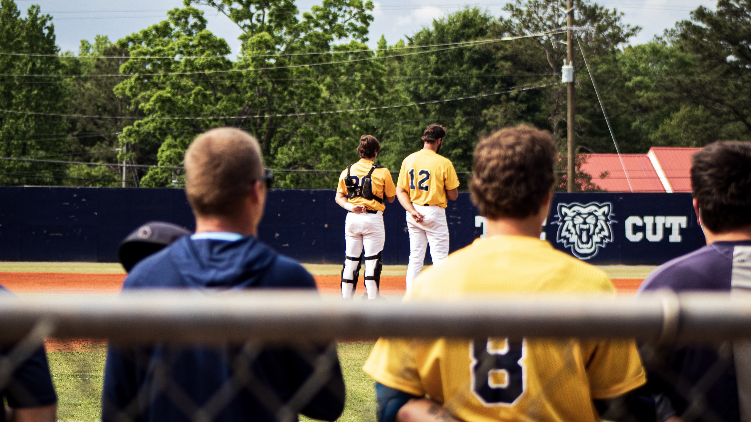 Huber&rsquo;s Big Night Leads Tigers in Home Finale Win
