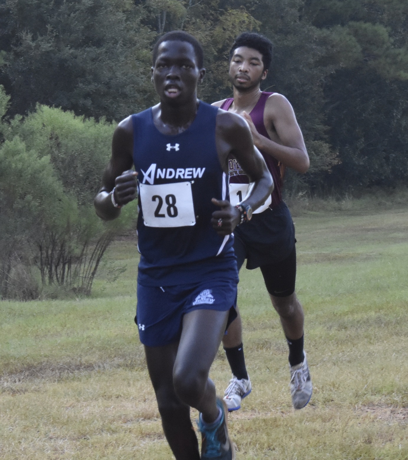 Andrew's Brian Maru Finishes 2nd at NJCAA Region 17 Cross Country Championships