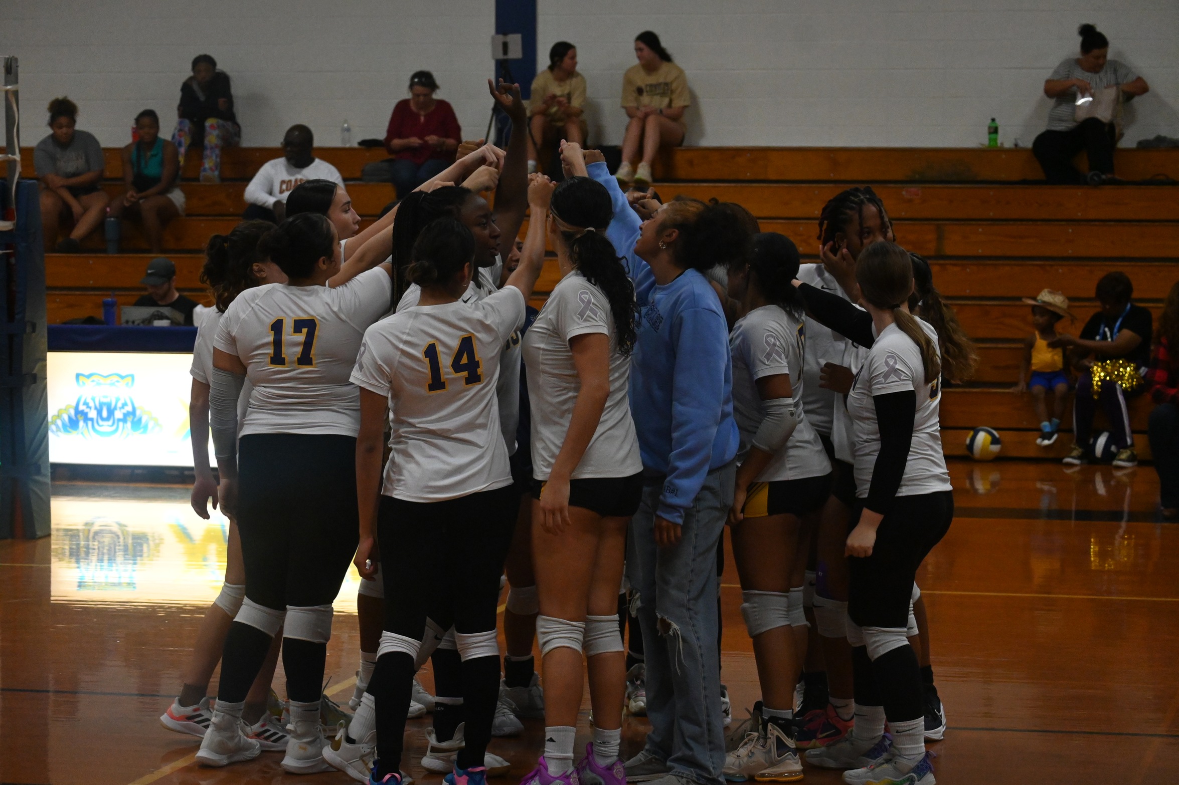 Women's Volleyball Prepares for next Tri-Match