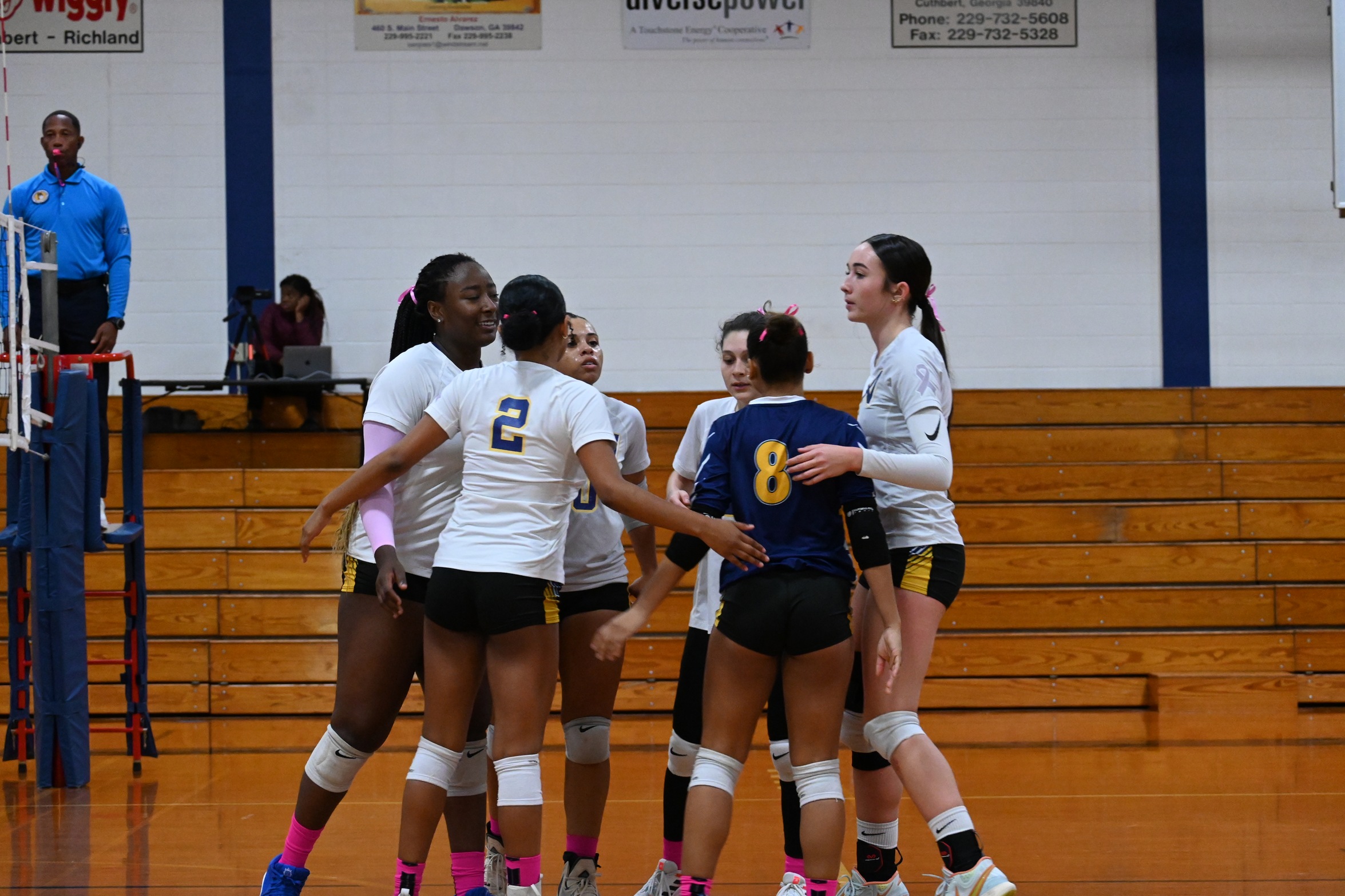 Volleyball Falls in the Region 10 Playoffs